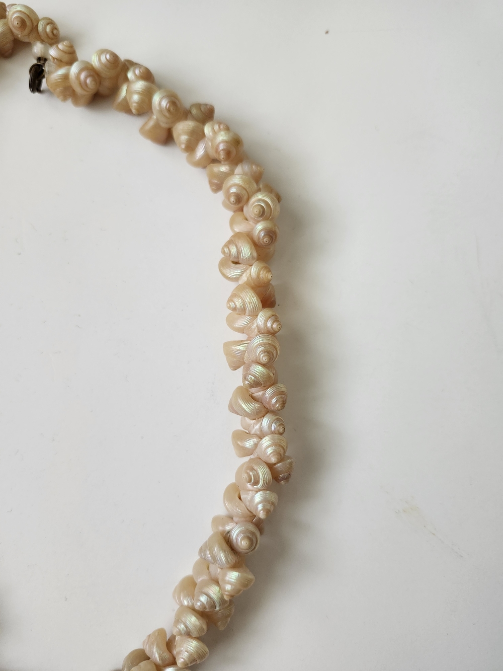 Vintage Shell Necklace - Picture 2 of 3